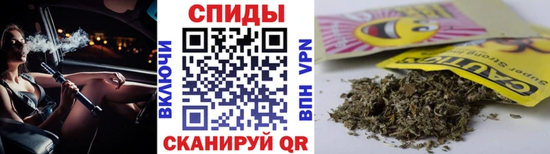 Бутират буратино  Гурьевск 