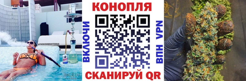 Канабис сатива это формула Гурьевск